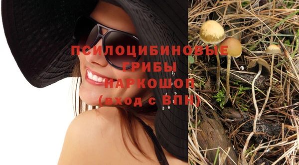 ПСИЛОЦИБИНОВЫЕ ГРИБЫ Алексеевка