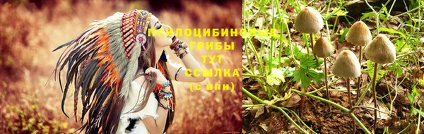молекула духа Абдулино
