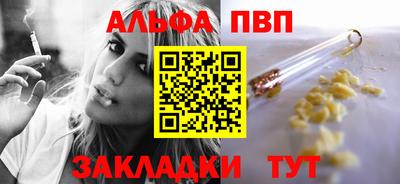 ешки Кингисепп