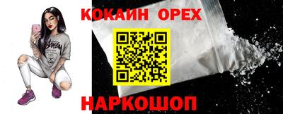 ешки Кингисепп
