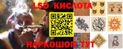 ешки Кингисепп