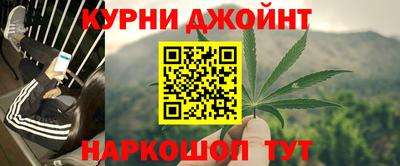 ешки Кингисепп