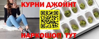 ешки Кингисепп