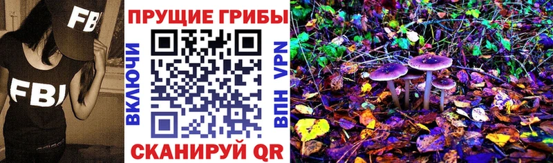 Галлюциногенные грибы прущие грибы  Кизилюрт 