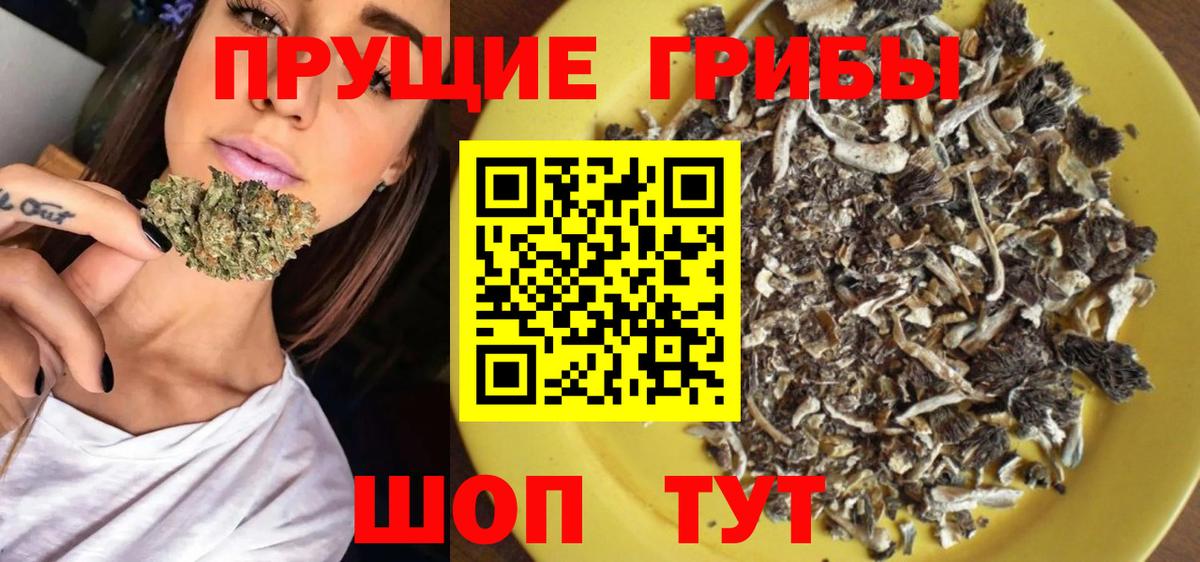 Галлюциногенные грибы GOLDEN TEACHER Кизилюрт