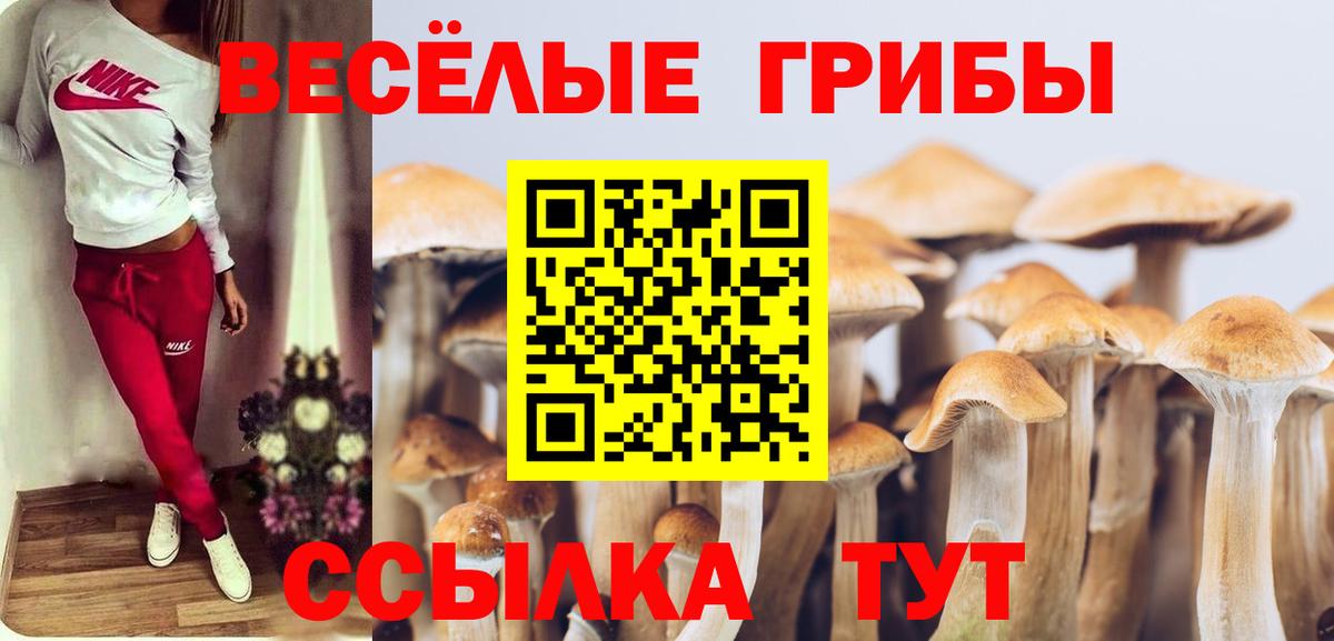 Псилоцибиновые грибы мухоморы  Вход с VPN  Кизилюрт  Псилоцибиновые грибы мицелий 