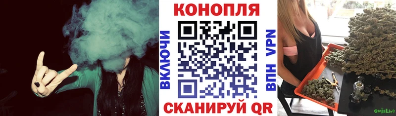 Шишки марихуана тримм  мориарти клад  Кизилюрт  как найти наркотики 